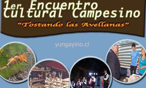 YUNGAYINO.CL - El Portal de Yungay