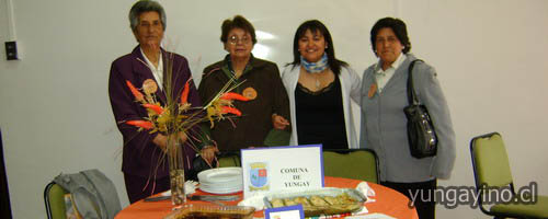 yungayino.cl - Adultos mayores de Yungay en Muestra de Platos Típicos en Chillán