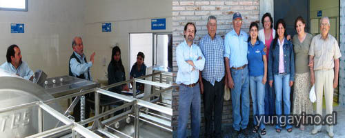 Apicultores de Yungay Acreditan Moderna Sala Extracción de Miel para Exportar a Europa con Apoyo de INDAP