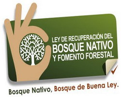 Reunión sobre Ley del Bosque Nativo en Yungay