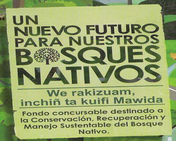 Reunión sobre Ley del Bosque Nativo en Yungay