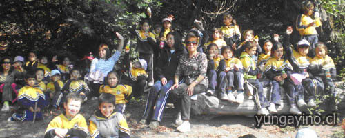 Celebración “Día Mundial de la Actividad Física” en Colegio Cholguán