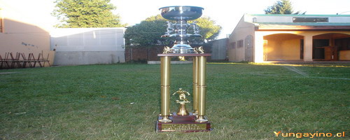 Copa Cordillera 2009