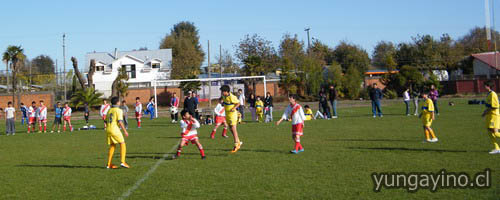 YUNGAYINO.CL - Copa Arauco Cholguán 2011