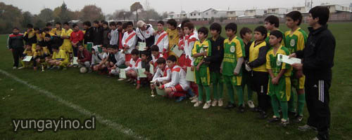 YUNGAYINO.CL - Copa Arauco Cholguán 2011