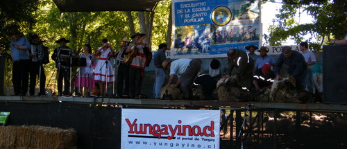 16º Encuentro de la Esuila y el Canto Popular en Yungay 2010