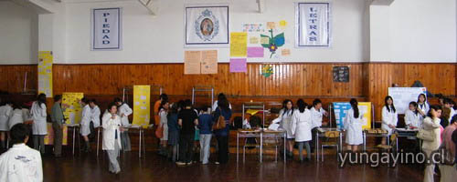 Colegio Divina Pastora Organizó “Feria de Ciencia Naturales”