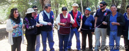 YUNGAYINO.CL - El Portal de Yungay