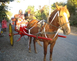 Matrimonio a la Chilena en Yungay