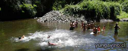 YUNGAYINO.CL - Exitoso Termino de Curso de Natación en Yungay