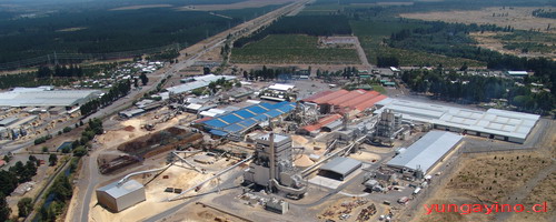 Empresa Paneles Arauco de Cholguán