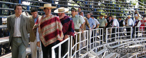 Lanzamiento Oficial del Rodeo Clasificatorio Centro Sur Pemuco 2010