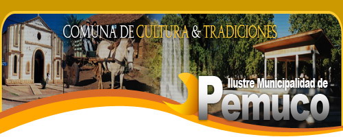 Programa Fiestas Patrias Bicentenario en Pemuco