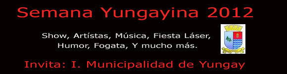 YUNGAYINO.CL - El Portal de Yungay