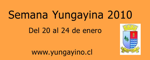 Semana Yungayina 2010