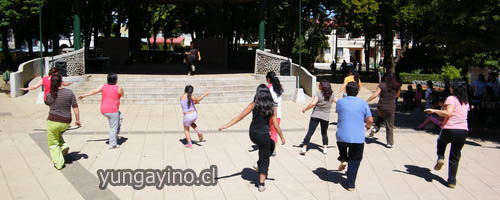 Actividad Expositiva e Informativa en Plaza Iquique