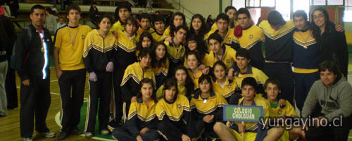 Torneo Copa Colegios Empresas Arauco
