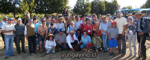 YUNGAYINO.CL - Trilla a Yegua Suelta en Semana yungayina 2011