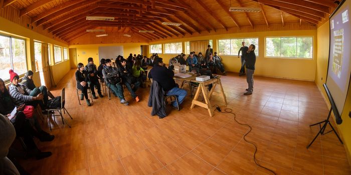 pemuco_arborizacion_2016