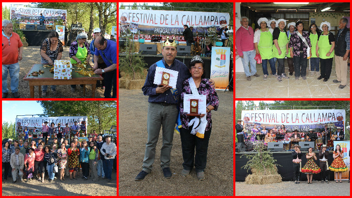 festival_callampa_2016